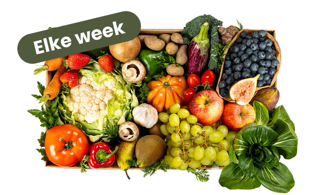 Groente & Fruitbox