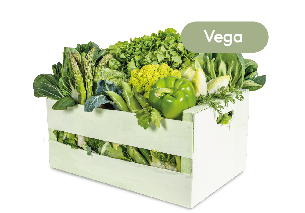 Seizoensbox Vega