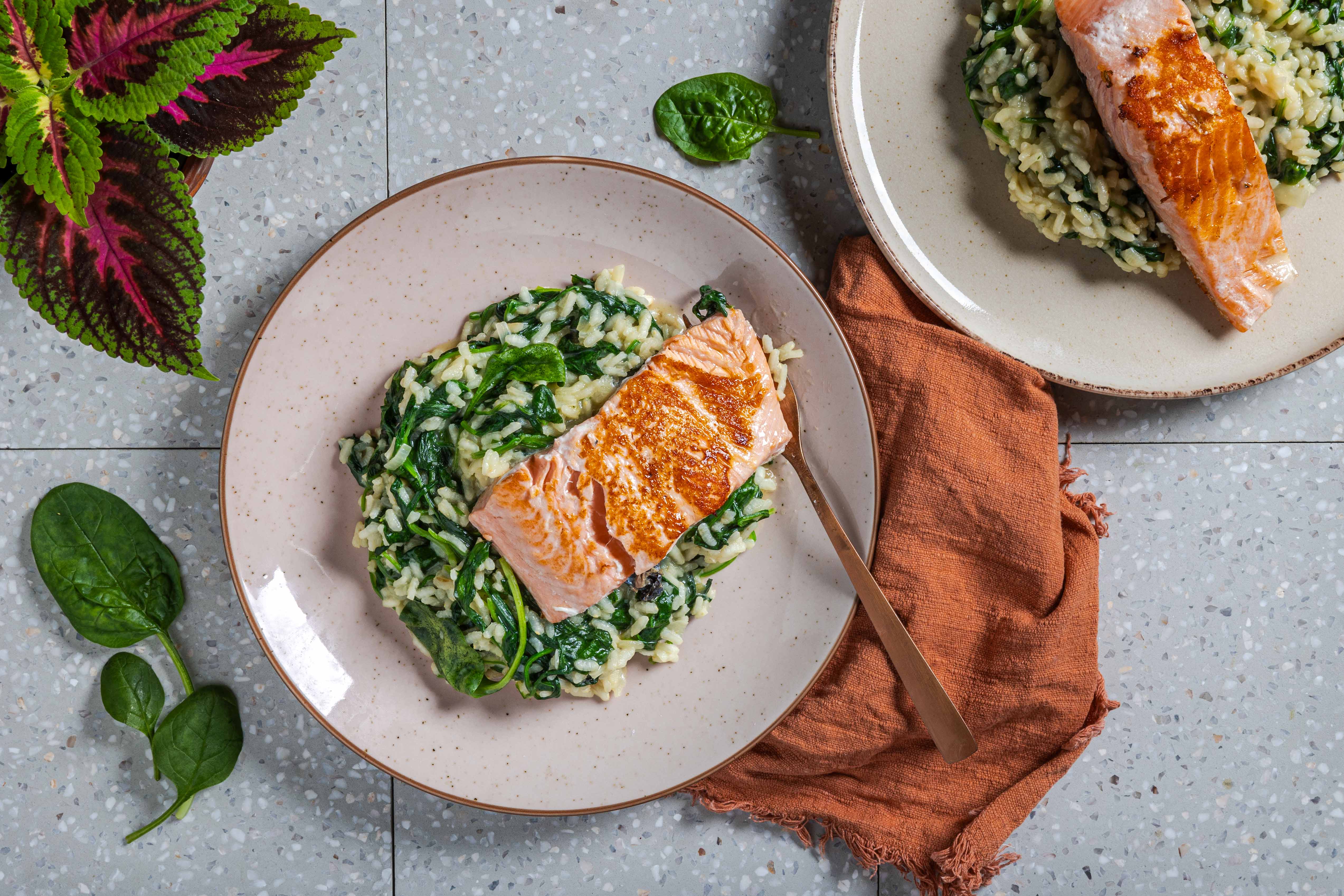 Spinazierisotto met zalm